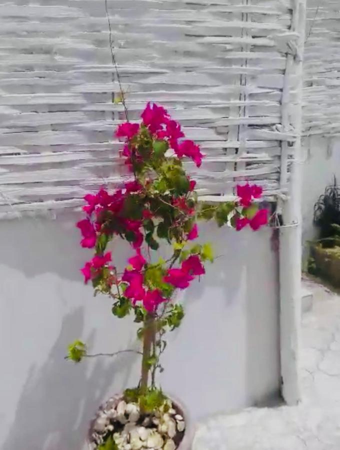 Villa Diam La Paix 게쟈와이 외부 사진